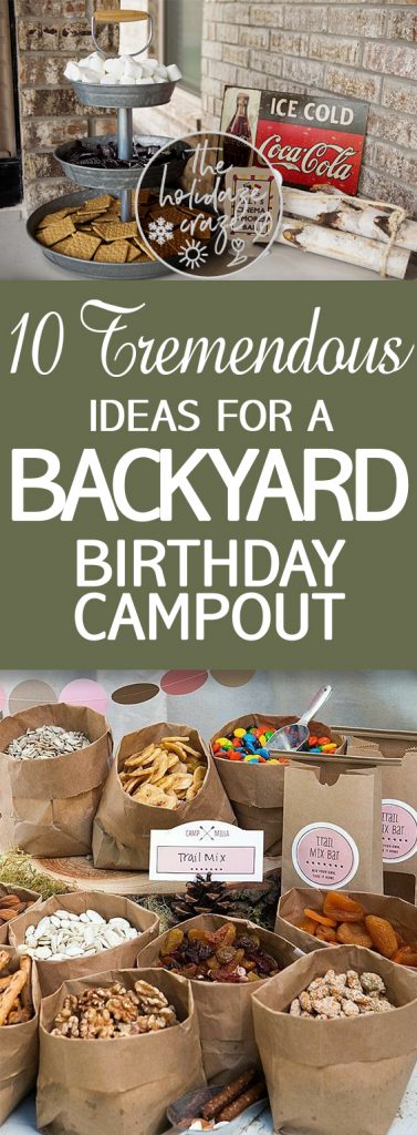 10 Tremendous Ideas For A Backyard Birthday Campout The Holidaze Craze