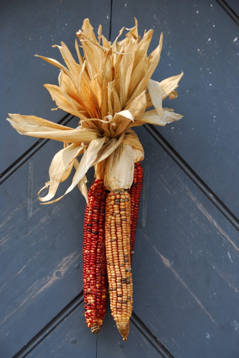 Corn-Inspired Crafts for Fall That Aren't 