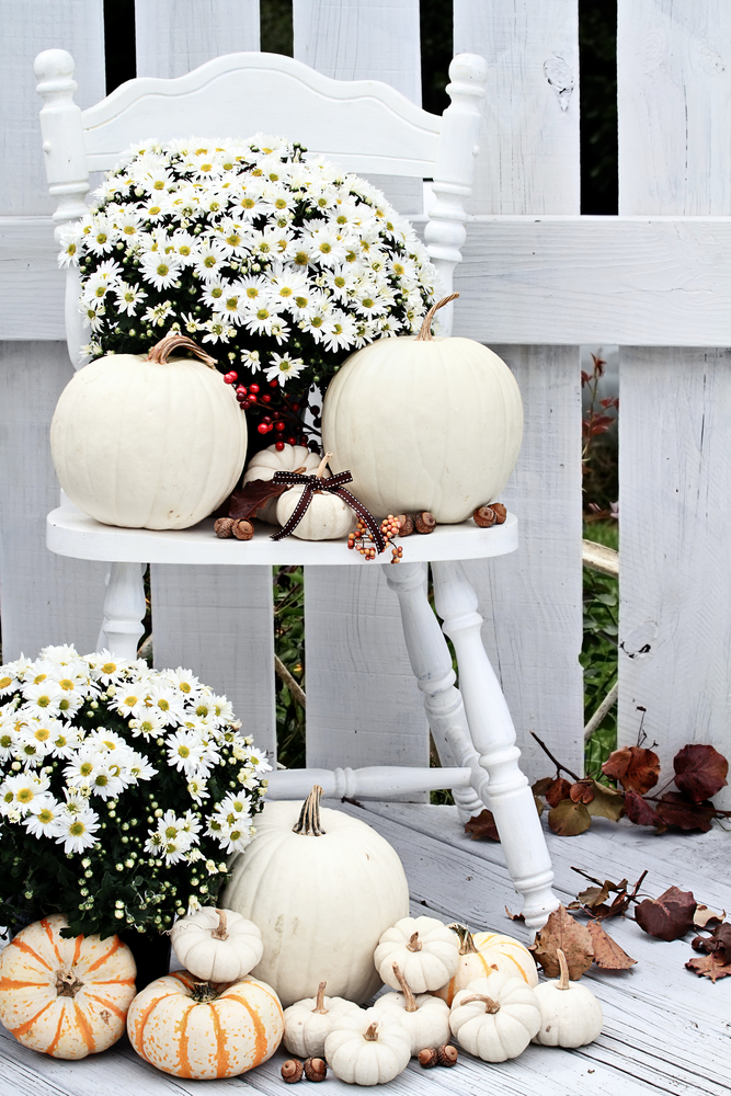 pumpkin front porch decor pumpkin front porch decor