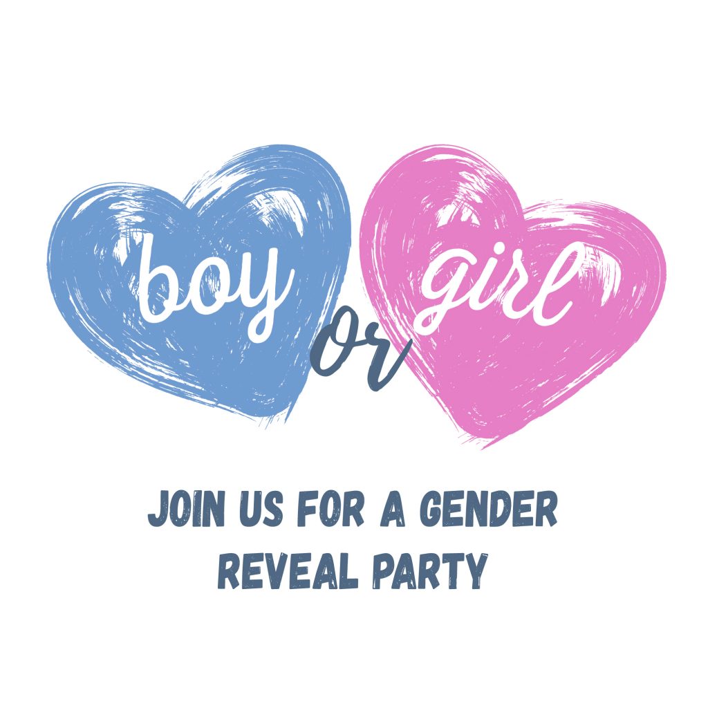Sip and See Gender Reveal Party Planning Tips * The Holidaze Craze